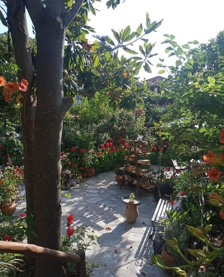 Stamatia'S Garden Hotel Agnontas Exterior photo