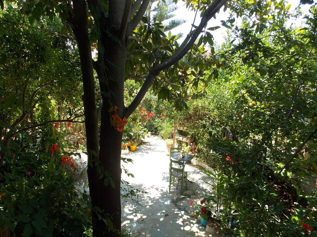 Stamatia'S Garden Hotel Agnontas Exterior photo