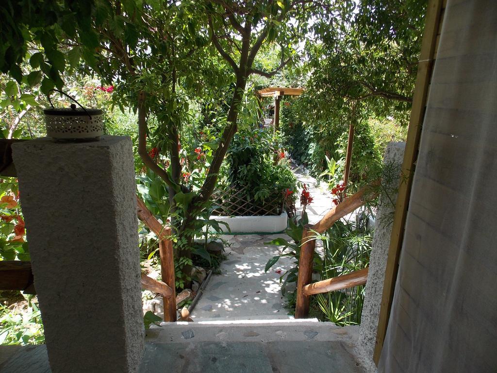 Stamatia'S Garden Hotel Agnontas Exterior photo