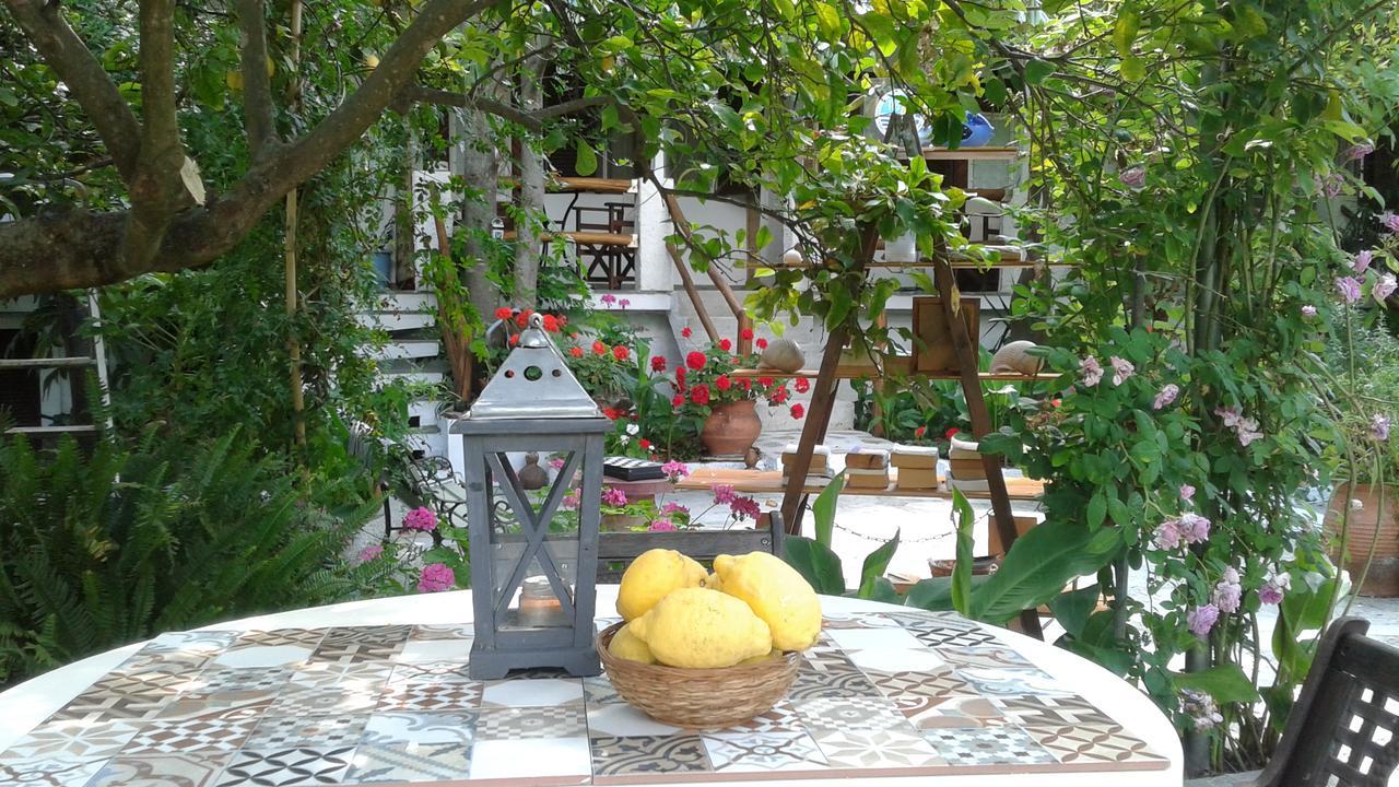 Stamatia'S Garden Hotel Agnontas Exterior photo