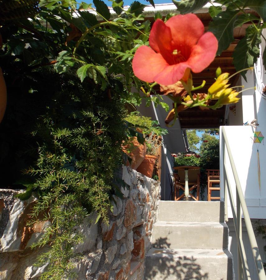Stamatia'S Garden Hotel Agnontas Exterior photo