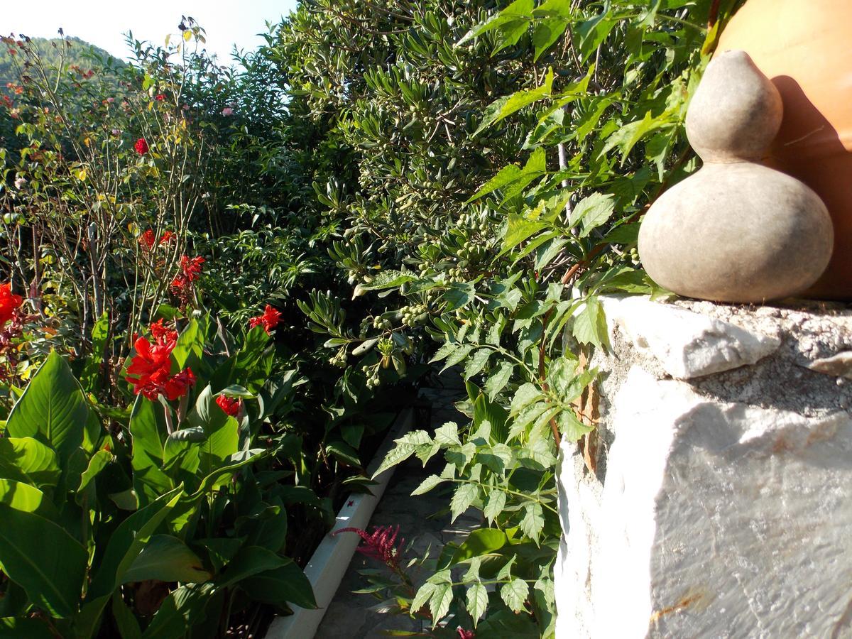 Stamatia'S Garden Hotel Agnontas Exterior photo