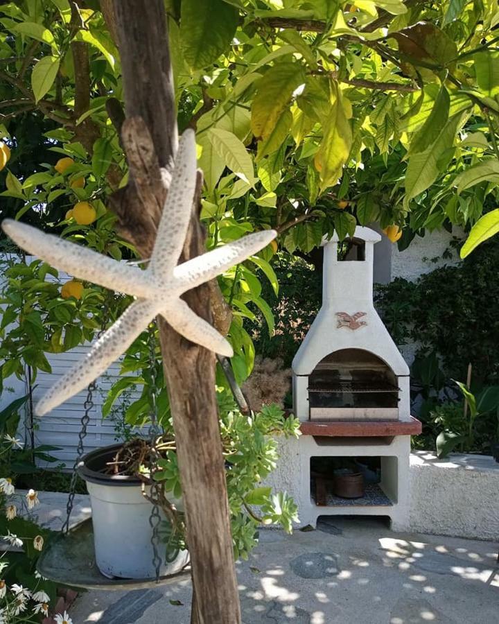 Stamatia'S Garden Hotel Agnontas Exterior photo