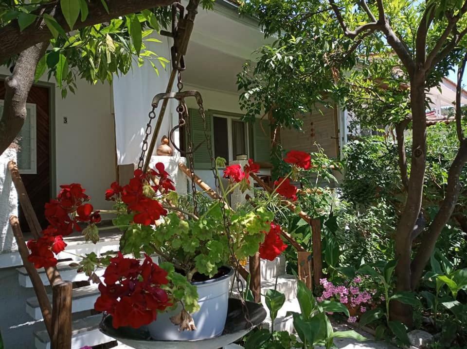 Stamatia'S Garden Hotel Agnontas Exterior photo