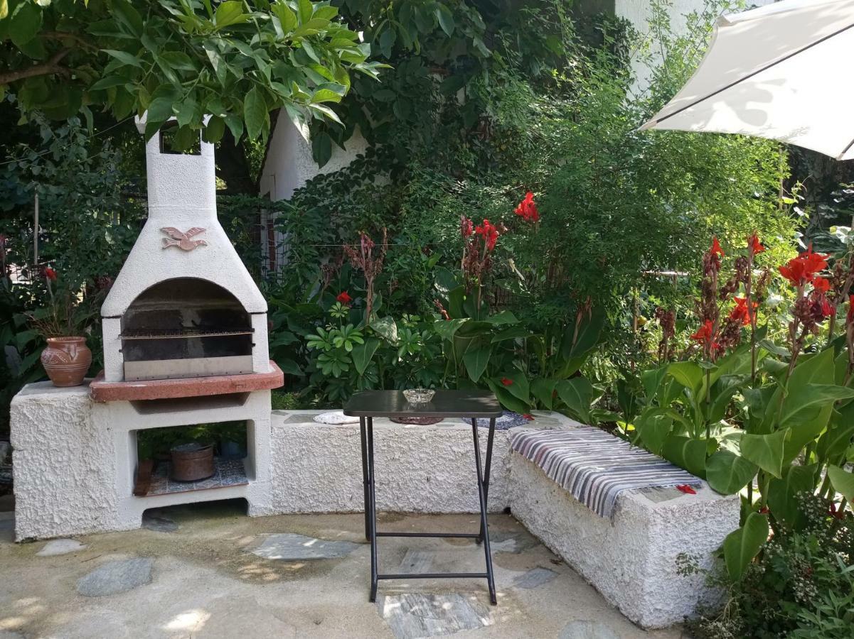 Stamatia'S Garden Hotel Agnontas Exterior photo