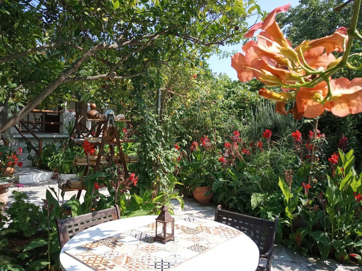 Stamatia'S Garden Hotel Agnontas Exterior photo