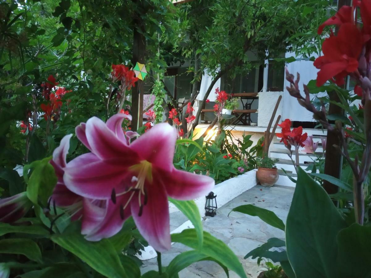 Stamatia'S Garden Hotel Agnontas Exterior photo