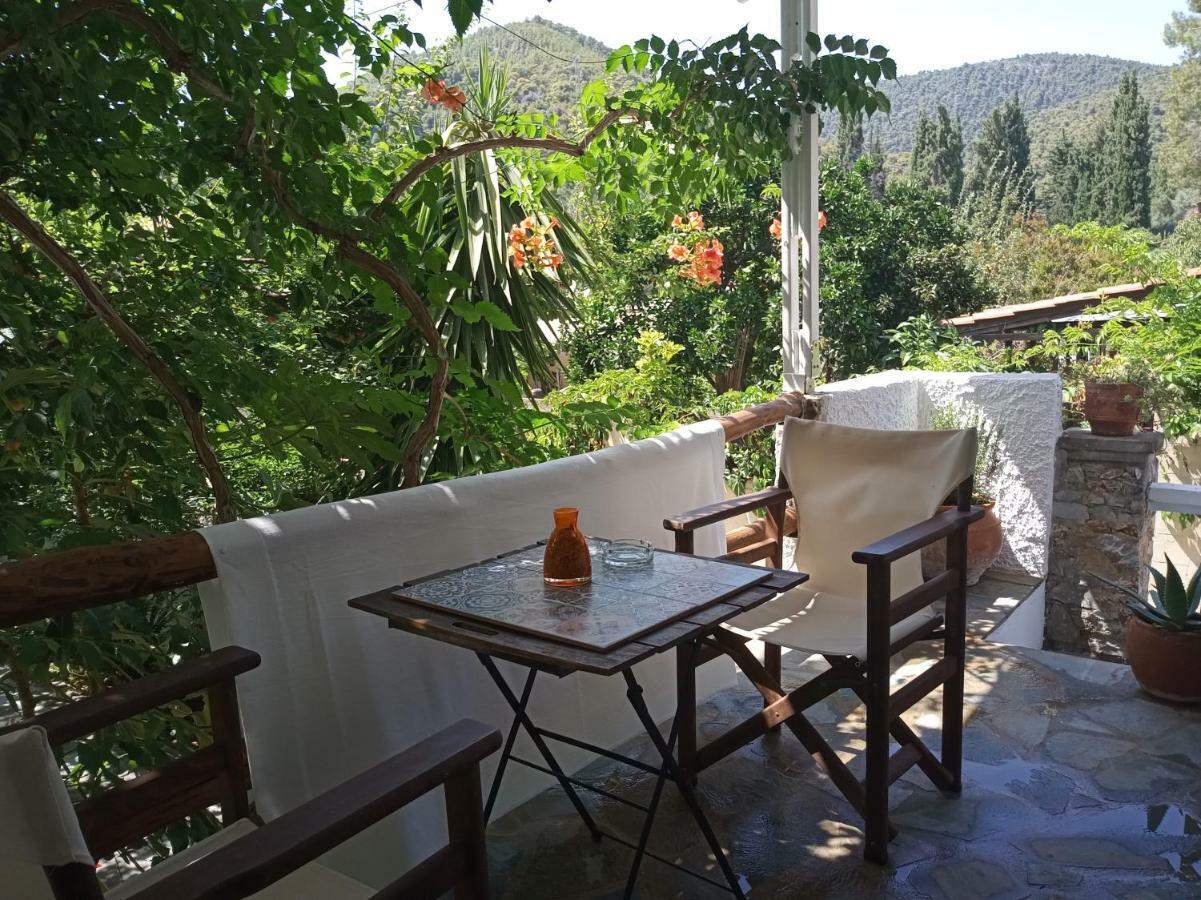 Stamatia'S Garden Hotel Agnontas Exterior photo