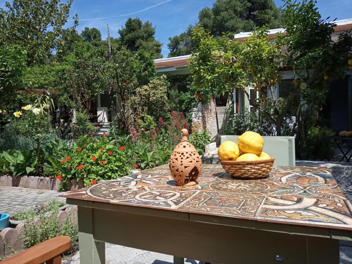 Stamatia'S Garden Hotel Agnontas Exterior photo