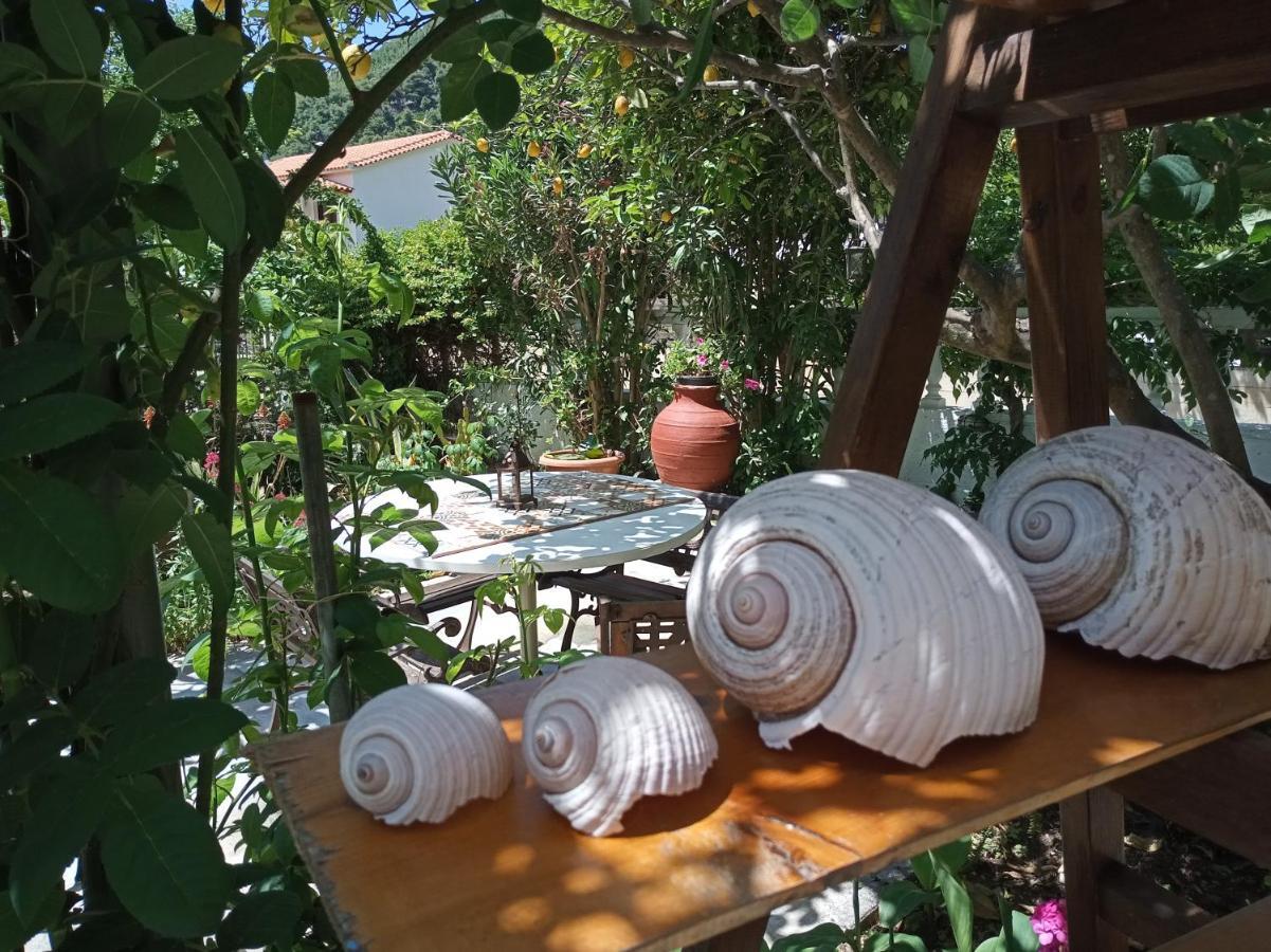 Stamatia'S Garden Hotel Agnontas Exterior photo