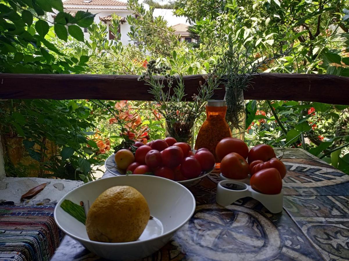 Stamatia'S Garden Hotel Agnontas Exterior photo