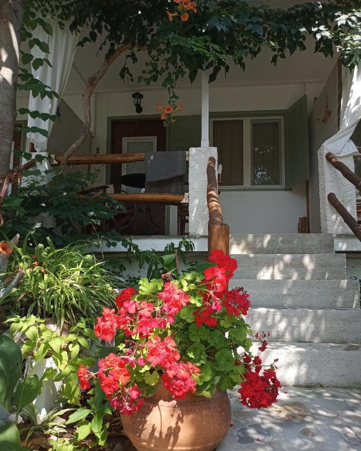 Stamatia'S Garden Hotel Agnontas Exterior photo